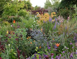 Villaleigh Garden In Spring
Garden Design
Calimesa, CA