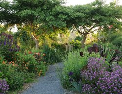 Villaleigh Garden Path
Garden Design
Calimesa, CA