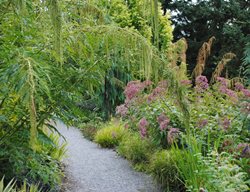 Weeping Plants In Garden
Garden Design
Calimesa, CA