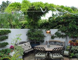 Wisteria Arbor
Garden Design
Calimesa, CA