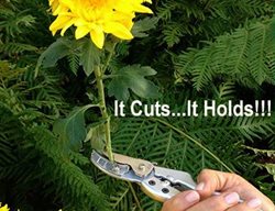 Women's Pro Cut And Hold Pruner
Garden Design
Calimesa, CA