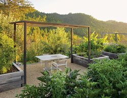 Top Garden Ideas
Garden Design
Calimesa, CA