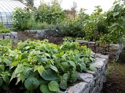 Raised Bed Garden Design: How To Layout & Build | Garden Design