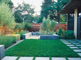 Modern Garden Ideas | Garden Design