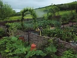 Kitchen Garden
"Dream Team's" Portland Garden
Garden Design
Calimesa, CA