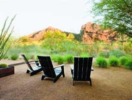 Ten Eyck Desert Garden
"Dream Team's" Portland Garden
Garden Design
Calimesa, CA
