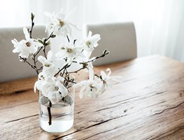 Bring In Flowering Branches
Garden Design
Calimesa, CA