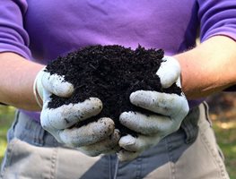 Damp Compost Pile
Garden Design
Calimesa, CA