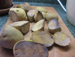 curing potatoes