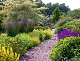 July Gardening Checklist for Los Angeles | Garden Design