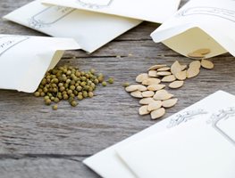 Get Out Your Seeds
Garden Design
Calimesa, CA