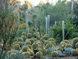 20 Best Botanical Gardens to Visit in the U.S. | Garden Design