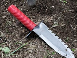 Professional Gardener’s Digging Tool
Garden Design
Calimesa, CA