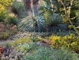 June Gardening Checklist for San Francisco & the Bay Area | Garden Design