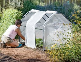 Transplant Cool-Season Crops Into The Garden
Garden Design
Calimesa, CA