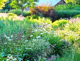 September Gardening Checklist for the Midwest | Garden Design