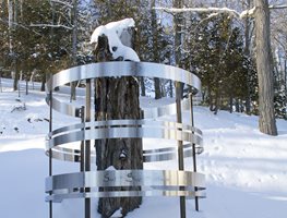 Tree Rings Sculpture, Pat Webster
Site & Insight
North Hatley, Quebec
