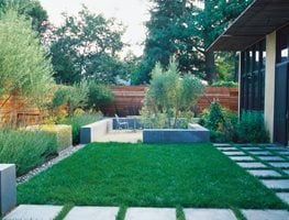 Modern Garden Ideas | Garden Design