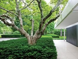 Modern Garden Ideas | Garden Design