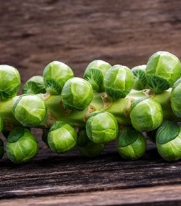 BRUSSELS SPROUTS