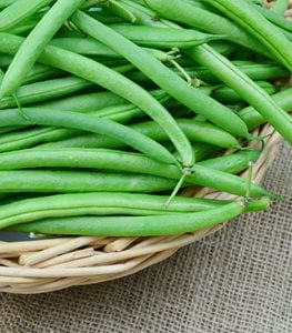 BUSH BEANS