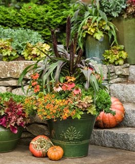 21 Fall Planter Ideas - Container Garden Pictures, Plants & Tips ...