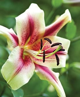 'TOUCHING' - Photo by: Rob Cardillo.