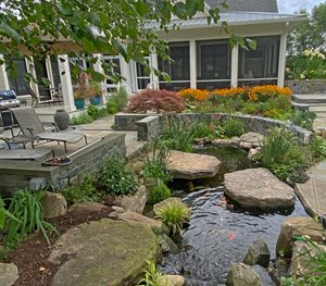 backyard pond