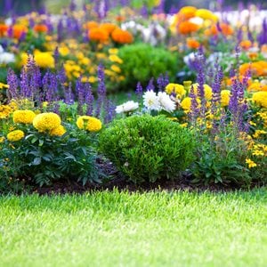 Colorful Garden With Grass
Shutterstock.com
New York, NY