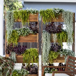 Privacy Planter, Vertical Planting
Proven Winners
Sycamore, IL