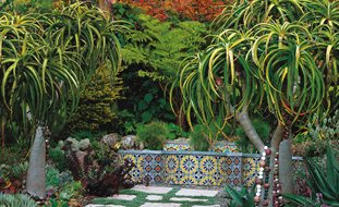 Berkeley Garden, Brandon Tyson
Brandon Tyson
Berkeley, CA