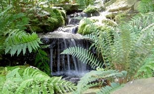 Garden Design
Calimesa, CA