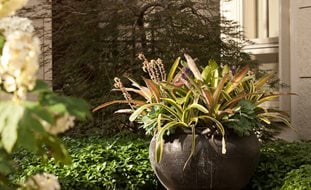 Hoerr Schaudt
Chicago, IL