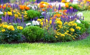 Colorful Garden With Grass
Shutterstock.com
New York, NY