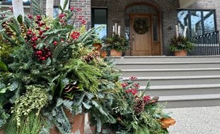 Outdoor Winter Container
Garden Design
Calimesa, CA