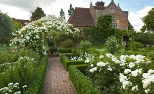 White Garden At Sissinghurst Castle, White Garden, Sissinghurst Castle
Alamy Stock Photo
Brooklyn, NY