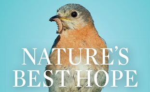 Nature's Best Hope Book
Garden Design
Calimesa, CA