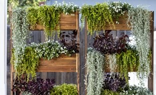 Privacy Planter, Vertical Planting
Proven Winners
Sycamore, IL