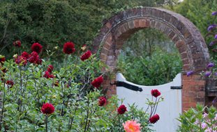 Brick Arch, Herbaceous Border
Garden Design
Calimesa, CA