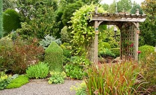 Garden Bed With Arbor
Garden Design
Calimesa, CA