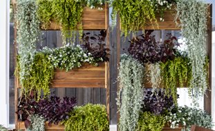 Privacy Planter, Vertical Planting
Proven Winners
Sycamore, IL