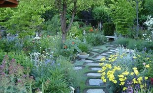 Ornamental Grasses in Pots
Garden Design
Calimesa, CA