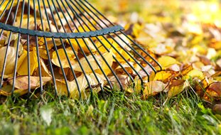 Leaves, Rake, Fall
A Rustic Perennial Paradise
Shutterstock.com
New York, NY