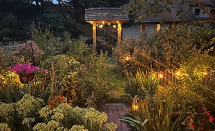 Night Patio Garden, Lights
Garden Design
Calimesa, CA