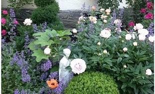 Rose Garden Ideas - How to Design with Roses | Garden Design