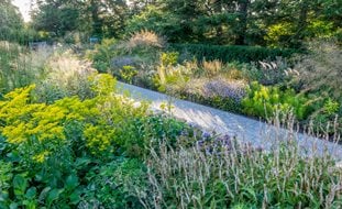 New York Botanical Garden Seasonal Walk, Piet Oudolf, Meadow Path
Garden Design
Calimesa, CA