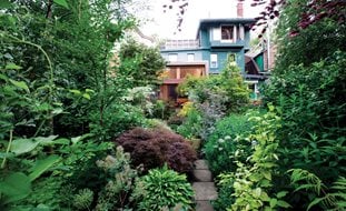 Garden Design
Calimesa, CA