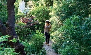 Gravel Path
Commune Design
Los Angeles, CA