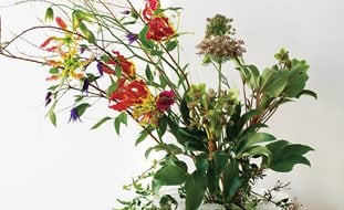 Garden Design
Calimesa, CA