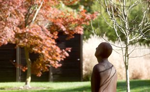 A Rustic Perennial Paradise
Lisa Roth - Landscape Architect
Devon, PA